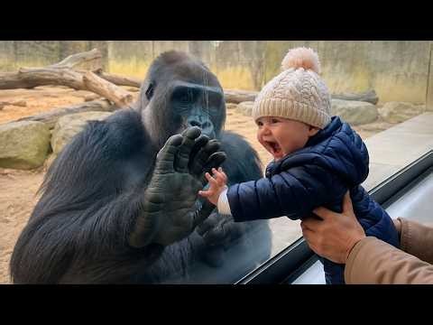 TRY NOT TO LAUGH 😂 Funny Babies At The Zoo - Cutest Baby Animals Compilation