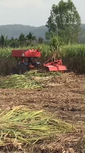 Chang Tractor Sugarcane Harvester Model T500
