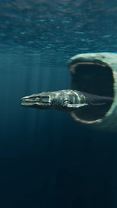 Fish Eat Fish | El Gran Maja Vs The Bloop Vs Mosasaurus #shorts #memes | CGI View