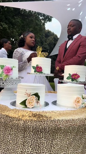 Tammy’s finest cakes on TikTok