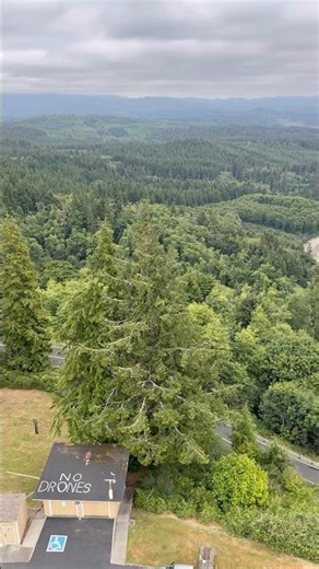 “No drones” 🛩️ #oregon #views #fyp #2026 #viral #shorts #funny #lol #drone #camera #video #nature