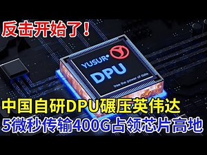 反击开始了！被英伟达吹爆的DPU，如今中国自研碾压逆袭，5微秒传输400G，已率先占领主力芯片高地【创新中国】科技