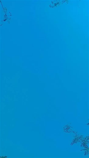 short video my heart oh my Love Tumi Amar #song ❤️❤️❤️❤️❤️