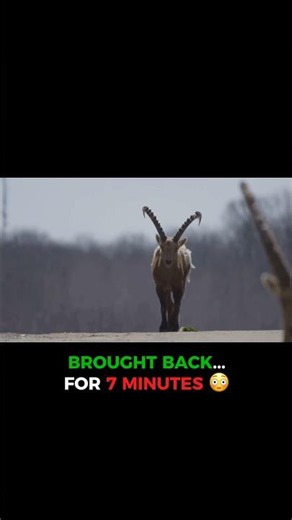 Scientists Brought This Extinct Animal Back… For 7 Minutes 😳🧬