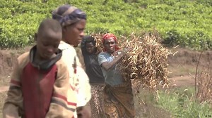 Community work in Burundi helps society and the environment