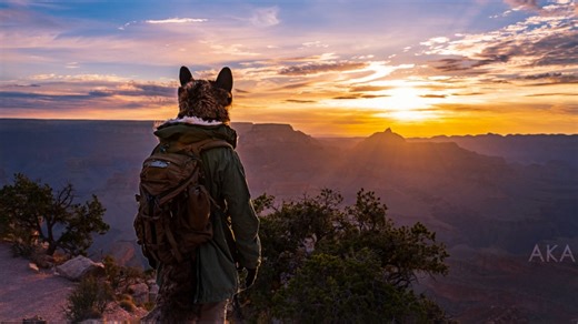 《Furry4k高清修復》Talexis(@TalesTigerfox)先生的个人写实兽装混剪