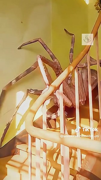 Discover the Terrifying Spider Monster - Biggest Fear Unleashed!