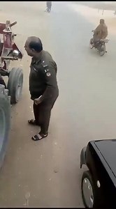 2.2K views | natural animal meeting|cow bull and...