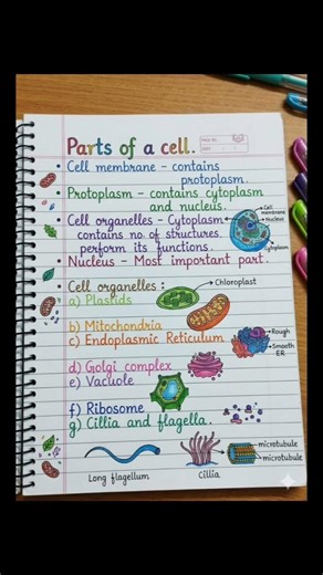 class-8 Parts of cell