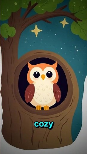 Owl facts for kids | learning