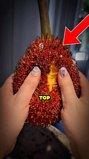 Five Of The RAREST Fruits On Earth!🌍 🍉