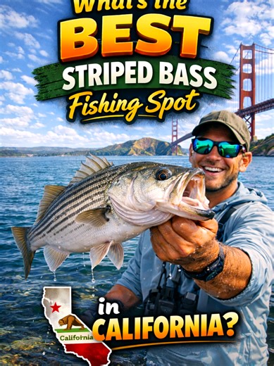 Top Striped Bass Fishing Spots in California