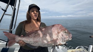 21K views · 279 reactions | Since March, we've been tracking the snapper as they move from north to south across the expansive mud flats of Port Phillip Bay. For beginners, it's not an easy task, but catching these fish is incredibly rewarding. This isn't just a report page; we're a brand dedicated to demonstrating the effectiveness of our products. As you can see, the results speak for themselves. Have a great week !!! | Reedy's Rigs | Facebook