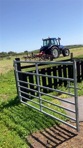 Willowlanealpacas on TikTok