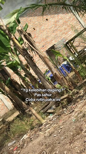 Jiashen Metaboost Diet Program for Effective Weight Loss