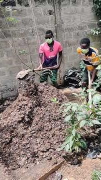 Retourner le fumier : l’étape clé pour réussir ton compost