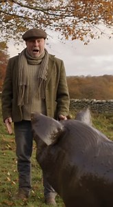 2K views | What is Grandpa talking about with that pig?  #fyp #funny #comedy #relatable #USA #viral #humor #skit #funny #funnycat #funnight #funnight #funnycat #funnyreels #funnymemes #funnyvideos #funnypictures | Ava Winslow | Facebook