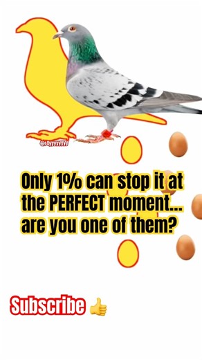 Only 1% can stop it at the PERFECT moment.are you one of them? #r4yyyyyyyy #youtubeshorts #challenge