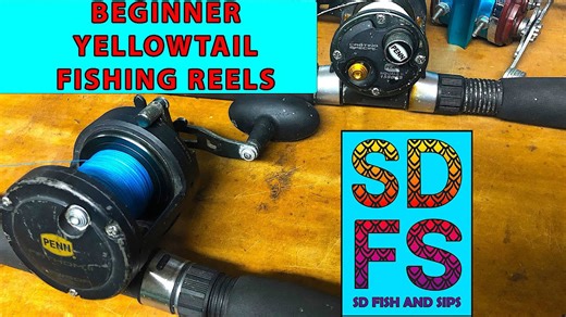 Best Beginner Yellowtail Reels – Penn vs. Daiwa (Tackle Talk Ep 1)