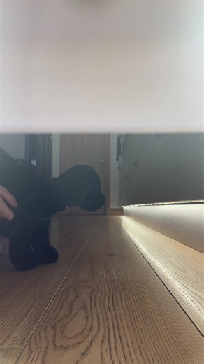 вαкυgσ (@alienstarynight)’s videos with original sound - 3mm4_st★r