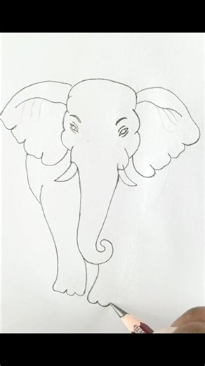 Only Elephant Pencil Sketch 🐘 | Easy Elephant Drawing Step by Step | #Shorts