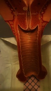 Let’s talk flow — and why your pad matters. This simulation shows how menstrual blood flows from the vaginal canal and onto our Women’s Haven® organic pad. 💧 Instantly absorbed — no pooling. 🛡️ 3D leak guard protection keeps everything locked in. This is safe, clean, organic protection you can actually feel. 💜 Ready to make the switch? 🛒 Shop at www.womenshaven.com, find us on Amazon, or in stores across 12 Caribbean countries, plus the USA and the UK. #WomensHaven #FlowTest #OrganicPads #Pe