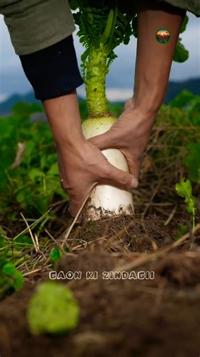 Village Style Dried Radish Recipe | Traditional Mountain Food Process |#shorts #food