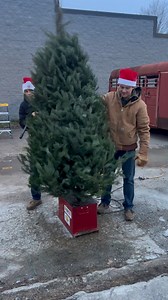 16K views · 101 reactions | Tree Shaker at Christmas in Downtown Dickson! | Nelson Ridge Farm | Facebook