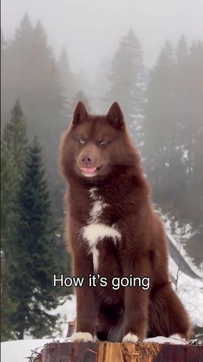 How it all began and how it continues from two to eight months.