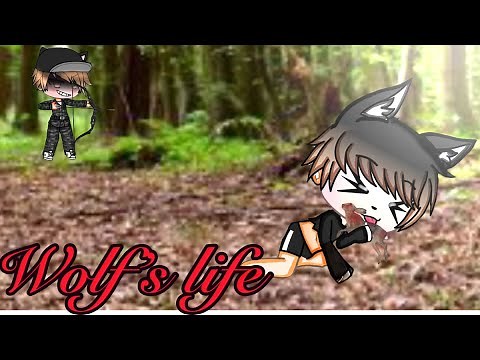 Wolf life | A Gacha Life mini movie (Gay included)