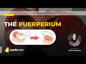 The Puerperium - Introduction