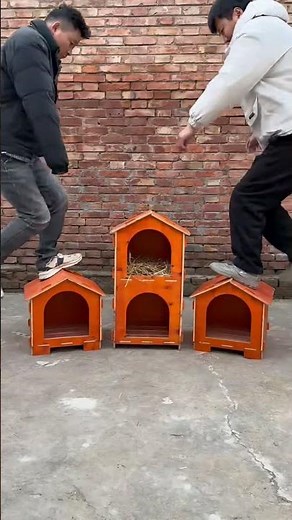 Amazing DIY Wooden Chicken Coop! 🏡🐔 | Perfect Farm Shelter Build #Farmlife.