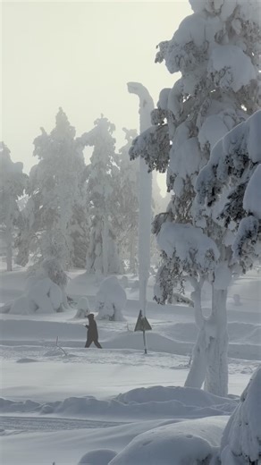 POV: Our Activity Manager Teresa doing Sunday business as usual. On her way from the hotel to our traditional hut nestled in the nearby forest, juggling the day’s adventures — guiding guests on magical snowshoe hikes to the mesmerizing landscape of Syöte, preparing the hut and double checking the traditional smoke sauna is getting heated up to welcome new visitors. If you’re dreaming of your own Arctic adventure, you can book directly through our website (link in bio). Looking for a private expe