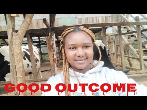 How the dry maize stalks SILAGE turned out 💯✅