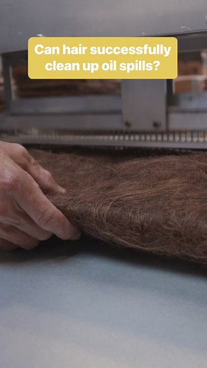 Using Human Hair to Clean Up Oil Spills