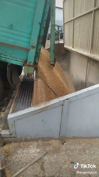 Grain Unloading Process from Truck to Container