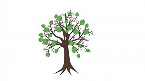 Video Clip Hand-drawn Treetree Growing Leaves Stock Footage Video (100% Royalty-free) 1052197912 | Shutterstock