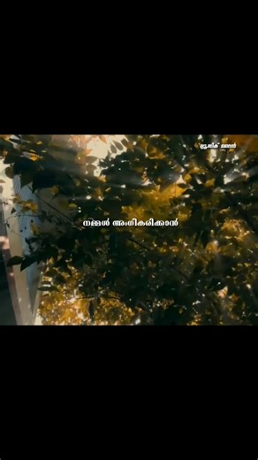 Music Line | വാക്കുകൾ ❤️ | Instagram