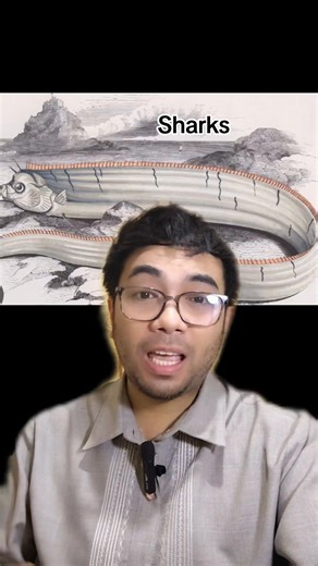 2.1K views · 135 reactions | Science Trivia with Sir Ea. Topic: Oarfish (Science VS Myth) Part 2 Please watch the Part 1 of the video for context. Show some love. Share this video. Thank you ❤️❤️❤️ #fypchallenge #fypシ゚viralシfypシ゚viralシalシ #DepEdTEACHER #sciencefacts #ILOILO | Ilonggo Maethro | Facebook