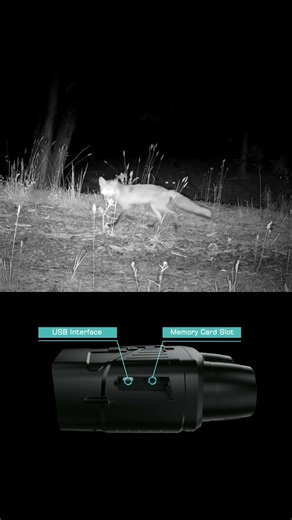 Don't Just Look Into the Dark, See Everything: Upgrade to 4K Infrared Night Vision Today!