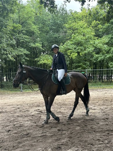 #equitation #cheval