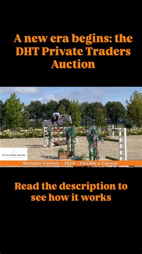 Dutch Horse Trading | 🇬🇧 📢 Attention horse professionals! Dutch Horse Trading is proud to launch a brand-new concept: The DHT Private Traders Auction. An idea... | Instagram