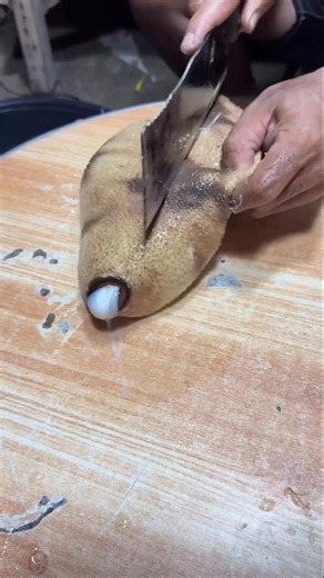What Was Found Inside This Sea Creature? 😱🦑 | Amazing Discovery