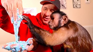 183K views · 7K reactions | Monkey Boo plays with some REALLY messy slime. He has so much fun with it that him and his pet human have to take a bath afterwords. | MonkeyBoo | Facebook