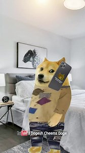 45K views · 2.4K reactions | Sir G Appki Marji 藍 #dogesh #cheems #doge #cartoon #funny #comedy #jokes #reels #reel #happy #love | Dogesh Cheems Doge | Facebook