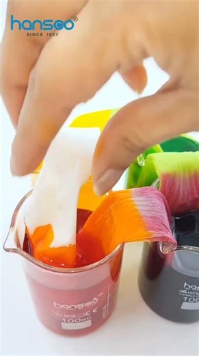 DIY Rainbow Science Experiment Hansco