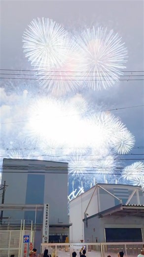 🎆 Yodogawa Fireworks Festival (Osaka) / なにわ淀川花火大会 🇯🇵 #travel #花火 #fireworks #shorts #大阪市大正区 osaka