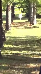 495K views · 1.9K reactions | Dreaming of throwing tunnel shots like @eveliinasalonen 累  @usdgc #discgolf #discgolfunited #innovadiscs #frisbeegolf #frolf #ultimatefrisbee #pdga #jomezpro #discgolfprotour #diskgolf #discgolfing #trickshot #dudeperfect | Disc Golf United | Facebook