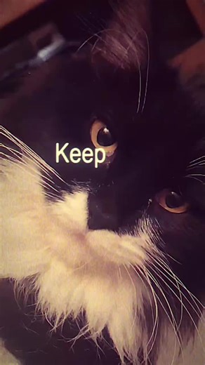 #CapCut @PrincessTheghostface | cap cut