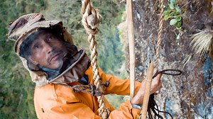 Twice a year, villagers from Bhujung, Nepal, set out on a death-defying quest to gather honey in the Himalayan Mountains. | Great Big Story